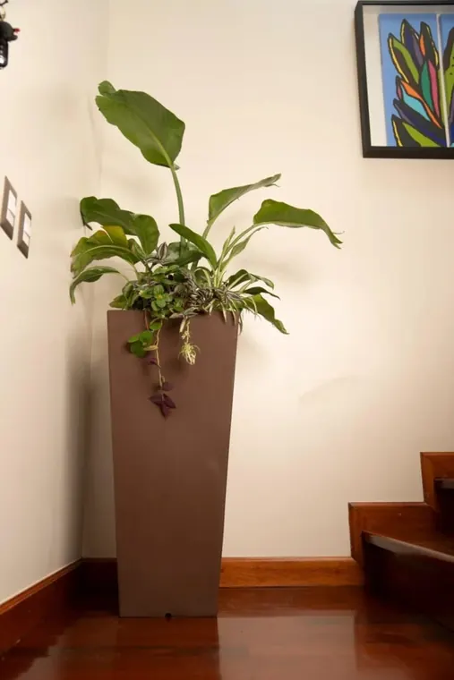 Arreglo vegetal en una jardinera alta junto a una escalera