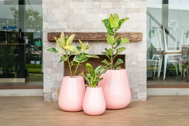 Tres macetas rosadas con plantas de distintas alturas