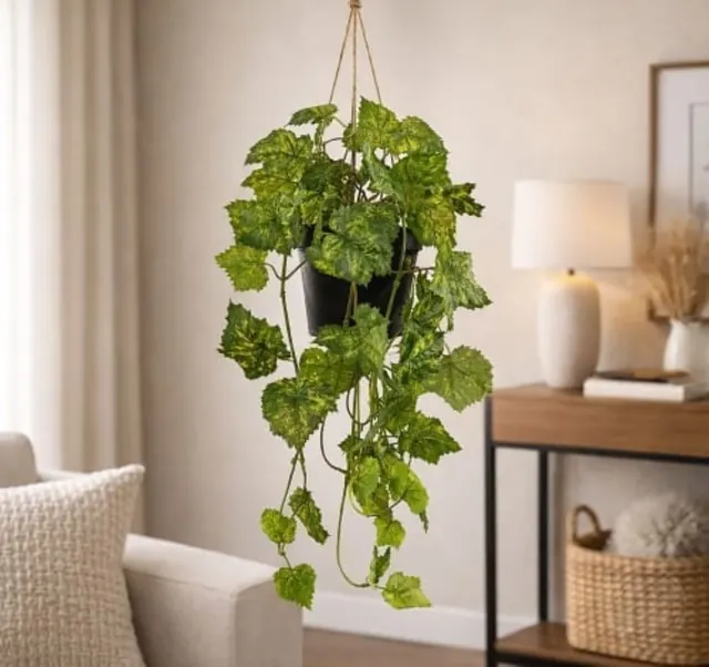Planta colgante de follaje verde en un ambiente interior